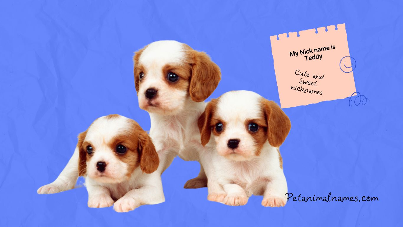 Cute puppies nicknames