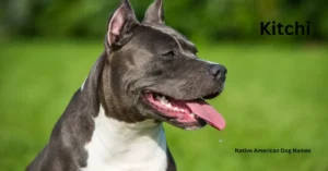Native american dog names